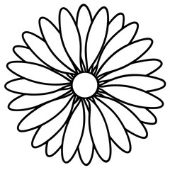 Daisy line art vector