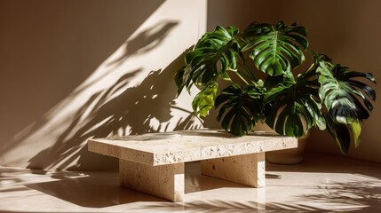 Minimalist interior with sunlit monstera plant and modern stone coffee table