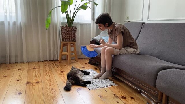 Caring young woman fan overheating cat on floor in hot apartment with no AC. Pet owner struggle in summer in non ventilated room, struggle with high temperatures, indoor discomfort, pet care priority