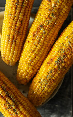 Corn on the cob, Grilled Corn on the Cob with Spices – Close-Up Summer Food Shot