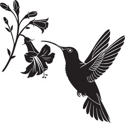 Hummingbird Silhouette – delicate and graceful