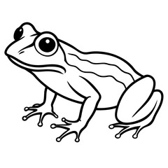 Frog line art vector