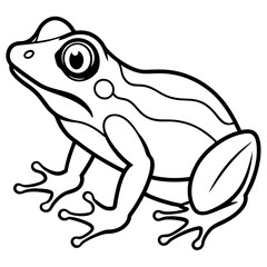 Frog line art vector