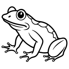 Frog line art vector