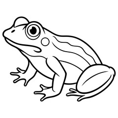 Frog line art vector
