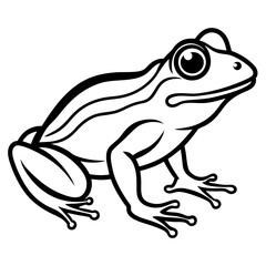 Frog line art vector