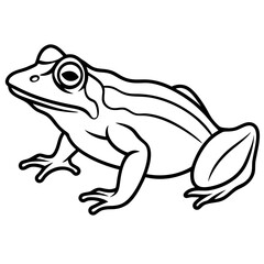Frog line art vector