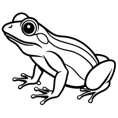 Frog line art vector