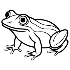 Frog line art vector