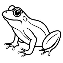 Frog line art vector