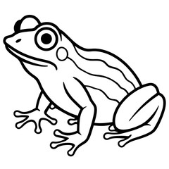 Frog line art vector