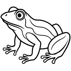 Frog line art vector