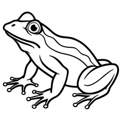 Frog line art vector