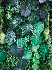 A top view of natural green leaves with rich textures, perfect as a nature-inspired background or tropical leaf wallpaper