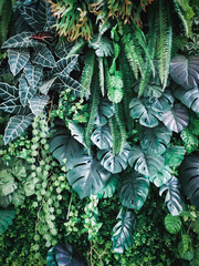 A top view of natural green leaves with rich textures, perfect as a nature-inspired background or tropical leaf wallpaper