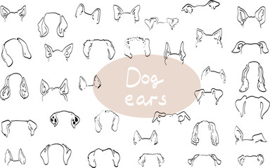 dog Ears.  Outline Drawing png set doodle sketch vector icon illustration