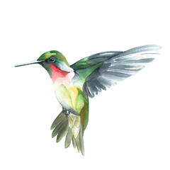 A vivid fusion of emerald green, golden yellow, and crimson red in motion this dynamic watercolor captures elegance, freedom, and graceful energy in a single expressive sweep © papatong