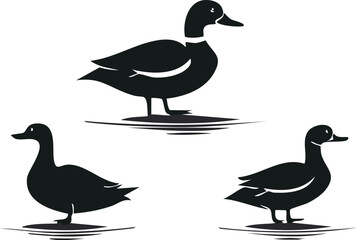 Elegant Mallard Duck Silhouette Set  High-Quality Vector Illustrations for Design Projects - Swimming, Standing, and Flying Poses
