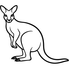 Kangaroo line art vector