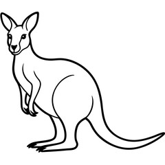 Kangaroo line art vector