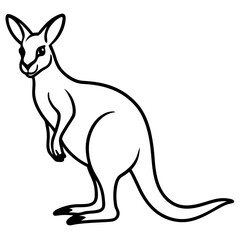 Kangaroo line art vector