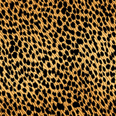 leopard print pattern texture