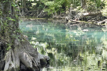 beautiful clear blue water