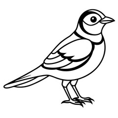 Lark line art vector
