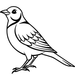 Fototapeta premium Lark line art vector