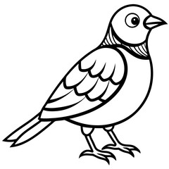 Lark line art vector