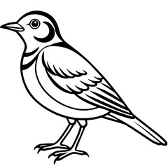 Obraz premium Lark line art vector