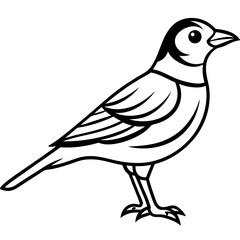 Fototapeta premium Lark line art vector