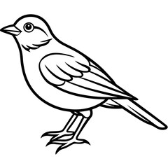 Fototapeta premium Lark line art vector