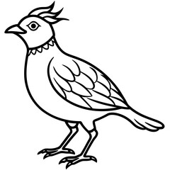 Lark line art vector