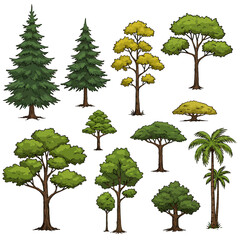 Detailed vector illustration featuring a variety of tree types and shapes