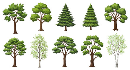 Diverse tree collection showcasing different types of deciduous and coniferous trees