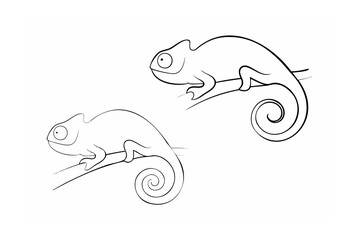 Two detailed line art chameleon illustrations on a branch isolated on a white background