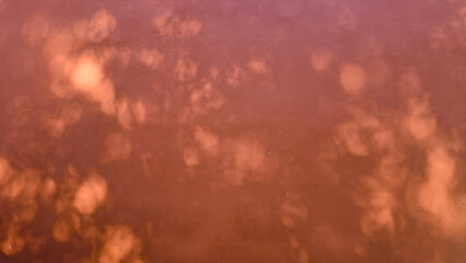Leaf shadow and light on wall background. Nature tropical leaves tree branch and plant shade with...