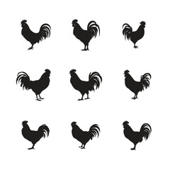 A vector set of chicken and rooster silhouettes, featuring various farm birds and poultry illustrations on a white background
