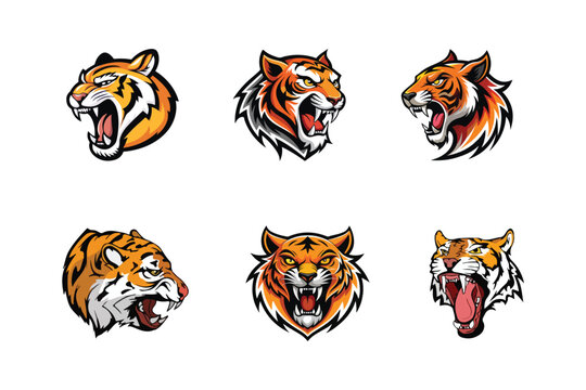 Tiger vector illustration logo design