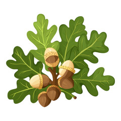 Cluster of oak leaves and acorns with vibrant green foliage and natural brown tones, showcasing elegant and organic design. Perfect for nature inspired themes