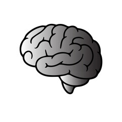 human brain icon