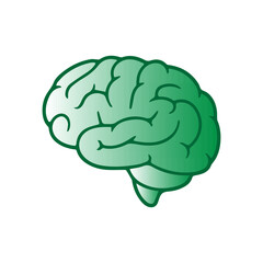 human brain icon