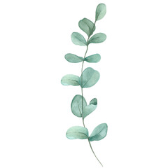 A watercolor branch with layered green leaves in varied tones showcasing organic flow, gentle texture, and the peaceful rhythm of nature’s quiet elegance