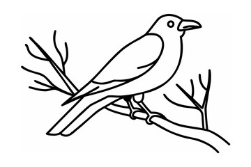 A minimalist black and white line art illustration of a raven perched on a branch