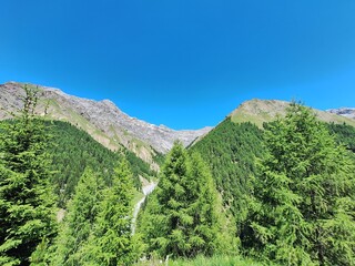 Summer Hike through Val Trupchun