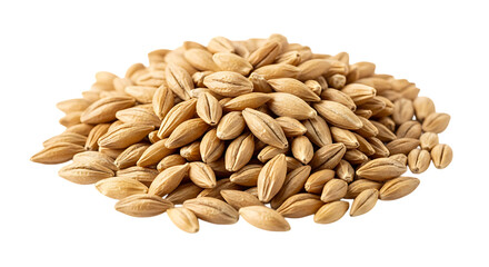 Close up of a pile of barley grains isolated on transparent background