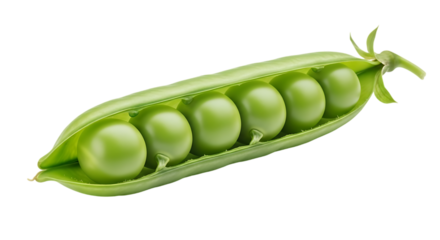 Fresh green pea pod with six round peas isolated on transparent background