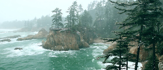 Snowfall over dramatic pacific northwest coastline rocky cliffs and evergreen trees