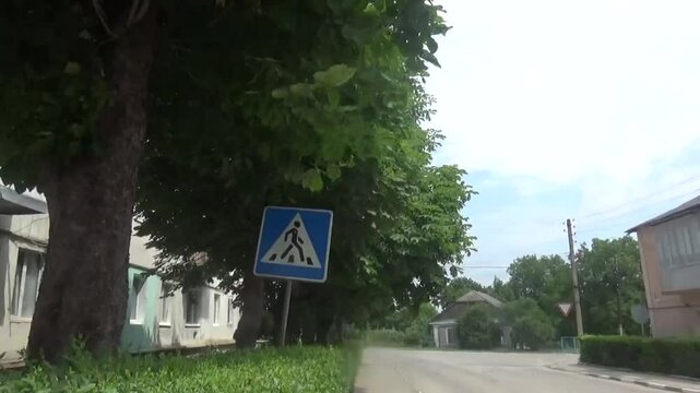 A pedestrian crossing sign on a street in a small town. Multi-story buildings and very large chestnut trees are visible along the street. Traffic rules on the example of a provincial town